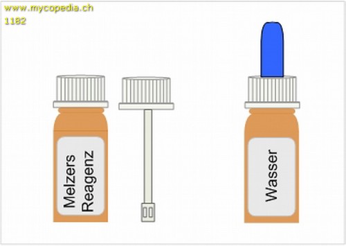 Chemikalien Grundset zur Pilzbestimmung -  - Melzers 