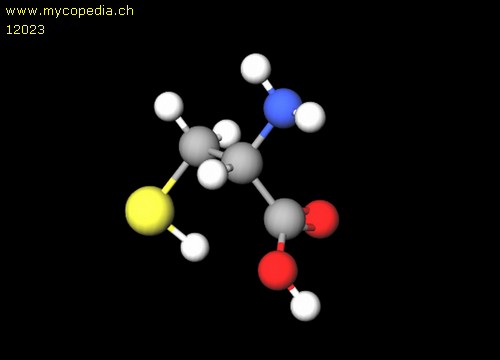 Cystein - 