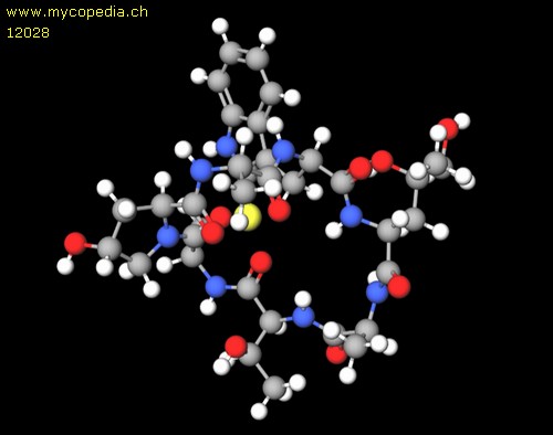 Phalloidin - 