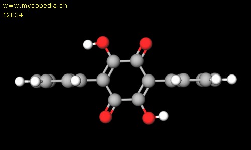 Polyporsure - 