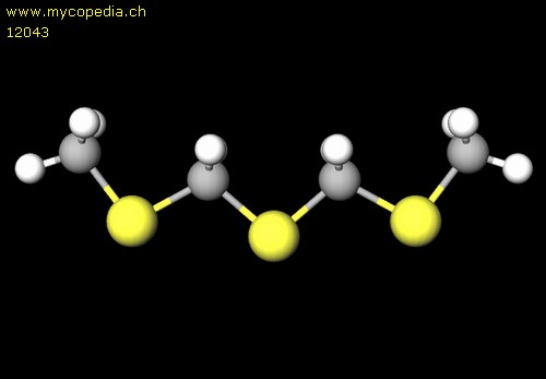 2,4,6-Trithiaheptan - 