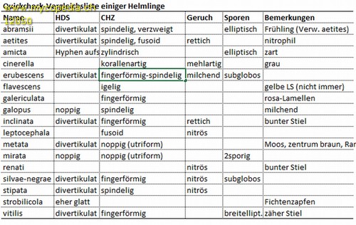 Mycena erubescens - Bestimmungshilfe - 