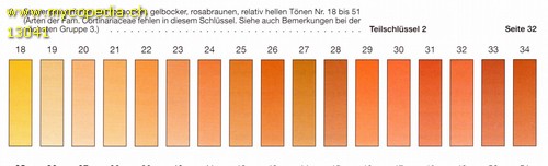 Abgleich der Sporenfarbe - 