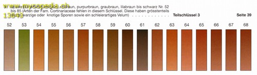 Abgleich der Sporenfarbe - 