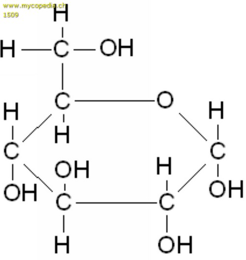 Glucose - 