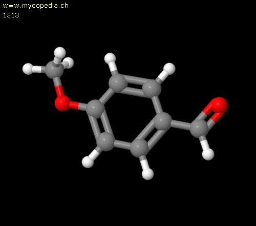 Anisaldehyd - 