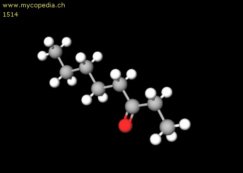 3-Octanon - 