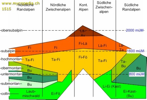 Topografie - 