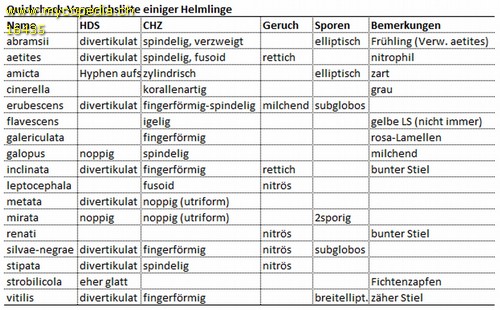 Mycena metata - Vergleichsliste - 