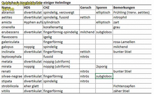 Mycena stipata - 