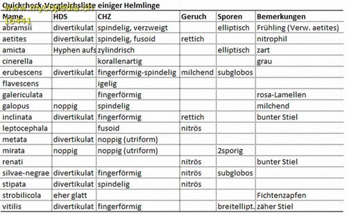 Mycena vitilis - Vergleichsliste - 