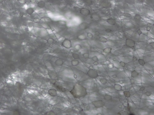 Neuronales Netzwerk - 