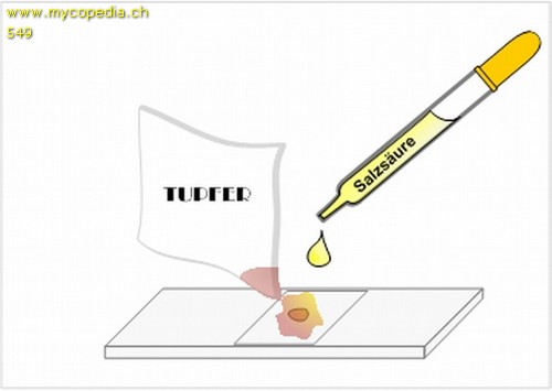 Primordialhyphen - 