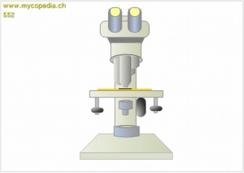 Primordialhyphen - 