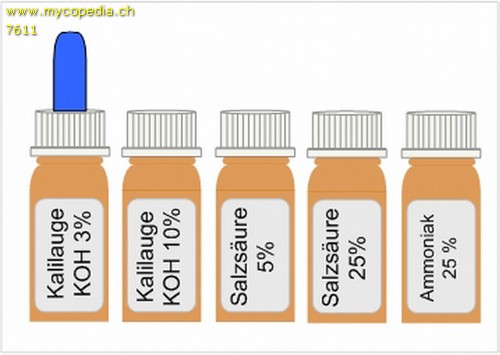 Chemikalien, Reagenzien & deren Anwendung - 