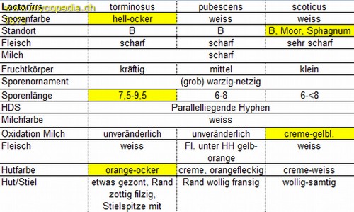 Lactarius torminosus - Bestimmungshilfe - 