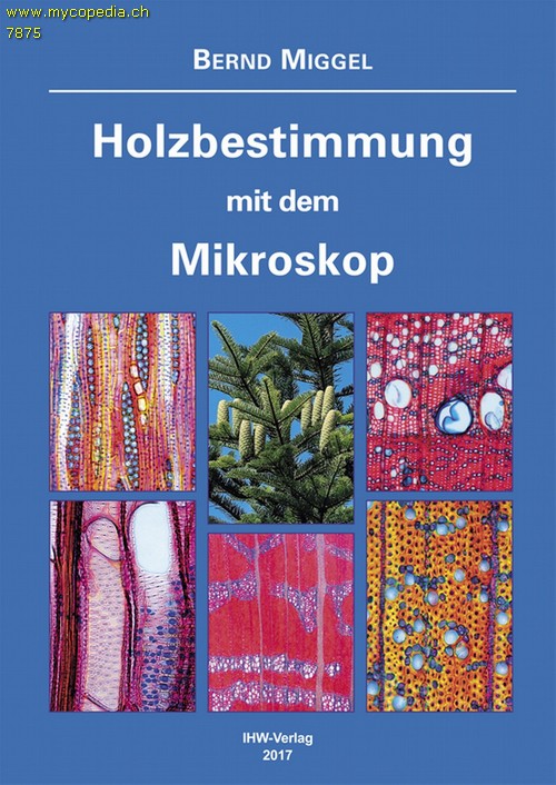 Holzbestimmung - 