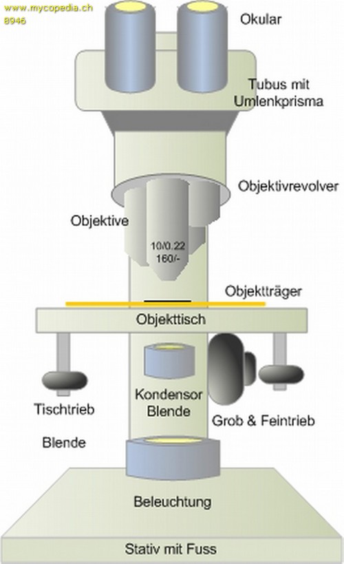 Mikroskop - 